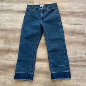 EVIDNT La Rochelle High Rise Jeans, Size 29